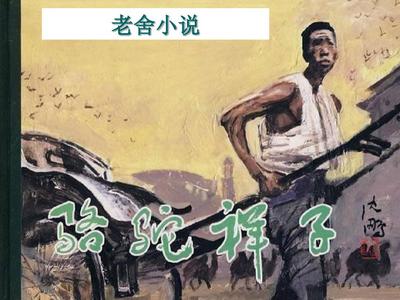 深入了解 含羞草研究所2025